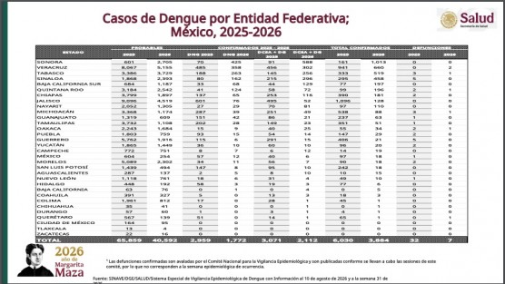 Con 660 casos de dengue, Veracruz se ubica en segundo lugar nacional: Salud