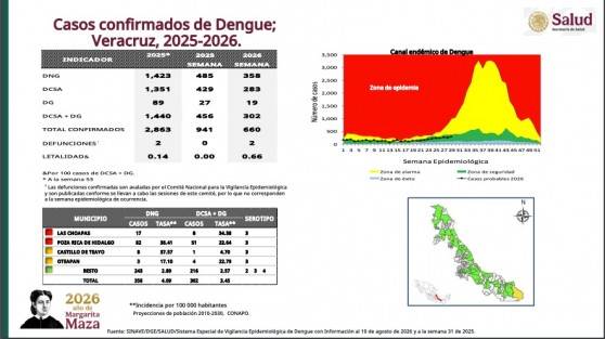 Con 660 casos de dengue, Veracruz se ubica en segundo lugar nacional: Salud