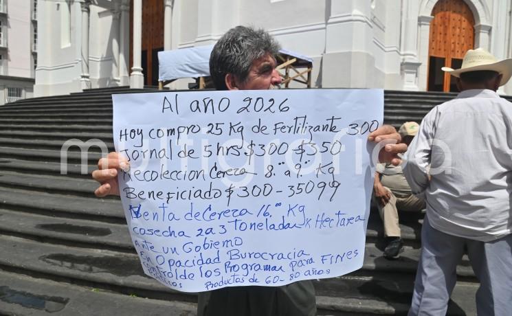 Cafetaleros de Coatepec piden atención urgente ante crisis del sector