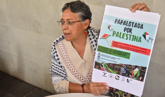 Alma Alvarado, vocera en México de la Plataforma Internacional de Solidaridad con la Causa Palestina, invitó a la población a participar en la -Papalotada por Palestina-, que se realizará este domingo a las 12:00 horas en el Parque Infantil Murillo Vidal, cerca de la -X-, en Xalapa. La jornada estará dedicada a las infancias.