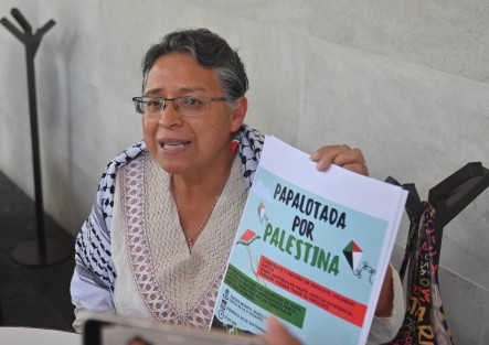 Alma Alvarado, vocera en México de la Plataforma Internacional de Solidaridad con la Causa Palestina, invitó a la población a participar en la -Papalotada por Palestina-, que se realizará este domingo a las 12:00 horas en el Parque Infantil Murillo Vidal, cerca de la -X-, en Xalapa. La jornada estará dedicada a las infancias.