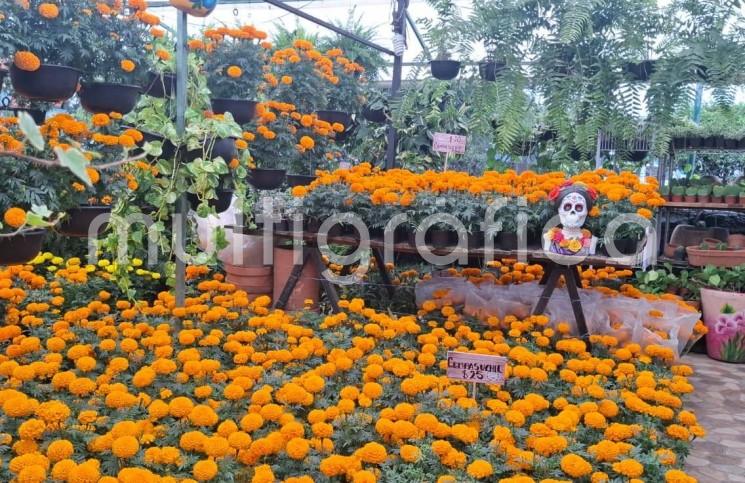 Más de 60 productores y artesanos de 19 municipios de Veracruz participarán del 16 al 18 de octubre en este encuentro que busca preservar las tradiciones e impulsar la economía local.