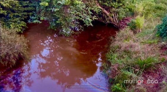Derrame de petróleo contamina el arroyo Chacalapa; señalan a planta de sal de PMV