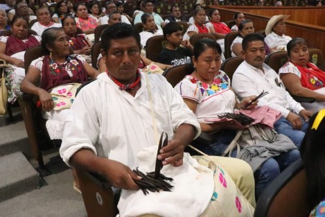 Durante la sesión del Congreso de Veracruz, la diputada Miriam García Guzmán presentó una iniciativa para apoyar a los productores de vainilla, acompañada por cultivadores que acudieron al recinto legislativo para respaldar la propuesta y visibilizar las necesidades del sector.